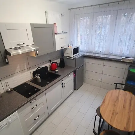 Przy Zamku Apartment *